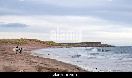 Torness, East Lothian, Schottland, Vereinigtes Königreich, 10. November 2018. UK Wetter: Trotz der Sturm an der West Küste der UK, Eastern Scotland ist mild mit nur einer leichten Brise. Ein surfer Paar zu Fuß auf den Strand bei Thorntonloch Durchführung Surfbretter zum Surfen Stockfoto