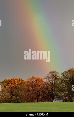 Northampton, Großbritannien. Wetter 10. November 2018. Stürmisch und bunten skiesd mit einem Regenbogen über Abinton Park, Northamptonshire am späten Nachmittag, Kredit: Keith J Smith./Alamy leben Nachrichten Stockfoto