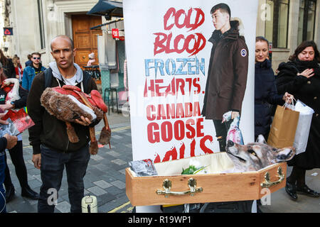 London, Großbritannien. 10 Nov, 2018. Tierschützer protestieren außerhalb Kanadas Gans Flagship Store in der Regent Street gegen die Fangmethoden für wilde Kojoten in der Kleidung des Unternehmens verwendet. PETA behaupten, dass eingeschlossene Kojoten für Tage leiden können beim Gegenüberstellen der Blutverlust, Schock, Dehydratation, Erfrierungen, Gangrän und Angriffe von anderen Raubtieren und, dass die Tiere noch am Leben, wenn der Trapper wieder abgewürgt werden, Stempel oder geprügelt. Credit: Mark Kerrison/Alamy leben Nachrichten Stockfoto