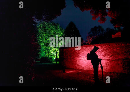 London, Großbritannien. 9. Nov 2018. Syon Park jährliche verzauberte Wälder beleuchtet. Credit: Guy Corbishley/Alamy leben Nachrichten Stockfoto