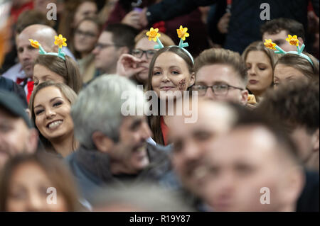 Cardiff, Wales, UK. 10 Nov, 2018. Mitglieder einer sehr bunten und vocal Menge im Fürstentum Stadium für die Rugby Test Match zwischen Wales und Australien. Credit: WALvAUS/Alamy leben Nachrichten Stockfoto