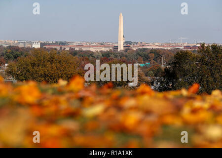 Washington, USA. 10 Nov, 2018. Washington Monument steht im Vordergrund von Falllaub in Washington, DC, USA gesehen, am 10. November 2018. Credit: Li Muzi/Xinhua/Alamy leben Nachrichten Stockfoto