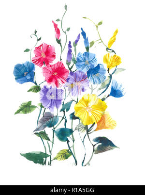 Convolvulus blühen. Leuchtend bunte Blumen. Aquarell Hintergrund. Stockfoto