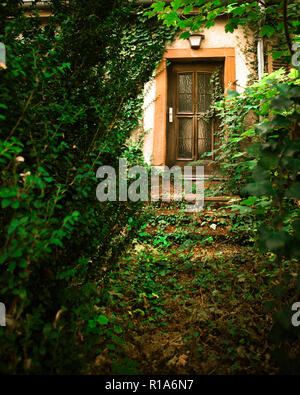 Home mit bewachsenen Weg zur Haustür verlassen Stockfoto