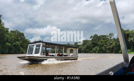 Yacht Transport von Passagieren durch die Mangroven in Costa Rica Stockfoto