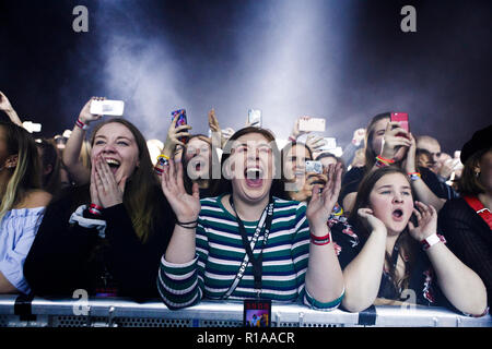 Dänemark, Kopenhagen - 8. November 2018. Ekstatisch Konzertbesucher an einem live Konzert mit der Australischen Pop Rock Band 5 Sekunden der Sommer im Forum "Black Box" in Kopenhagen. (Foto: Gonzales Foto - Pro Lange). Ohne DÄNEMARK Stockfoto