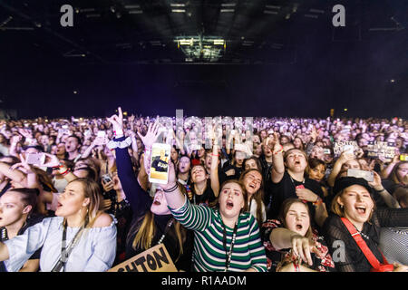 Dänemark, Kopenhagen - 8. November 2018. Ekstatisch Konzertbesucher an einem live Konzert mit der Australischen Pop Rock Band 5 Sekunden der Sommer im Forum "Black Box" in Kopenhagen. (Foto: Gonzales Foto - Pro Lange). Ohne DÄNEMARK Stockfoto