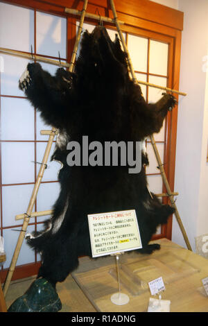 Echten pelt der japanischen Schwarzbär (Ursus thibetanus japonicus) zum Verkauf im Shop, Takayama Präfektur, Honshu, Japan. Keine PR Stockfoto