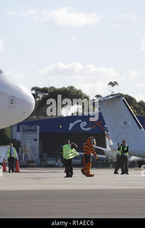 2. Juli 2009 Der erste Flug von Tiger Airways, der Budget-Tochtergesellschaft von Singapore Airlines, nach Sydney Airport. An der Pressekonferenz über Ankunft und Asphalt nahmen auch Spieler des Wests Tigers NRL Rugby-Teams Teil. Sydney, Australien. Stockfoto