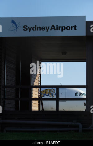 2. Juli 2009 Der erste Flug von Tiger Airways, der Budget-Tochtergesellschaft von Singapore Airlines, nach Sydney Airport. An der Pressekonferenz über Ankunft und Asphalt nahmen auch Spieler des Wests Tigers NRL Rugby-Teams Teil. Sydney, Australien. Stockfoto