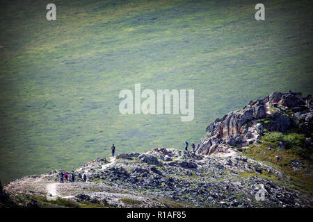 Wanderer auf dem Savage River Trail im Denali National Park, Alaska Stockfoto