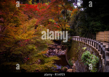 Mino fällt ein Beliebtesten reisen Reiseziel zu sehen Blätter Farbe ändern im Herbst Saison Osaka Japan Stockfoto