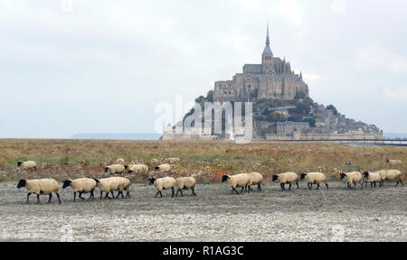 Schöne Aussicht auf die berühmten historischen Le Mont Saint-Michel tidal Island mit Schafe auf Felder in der Morgen, ein UNESCO-Weltkulturerbe, Stockfoto