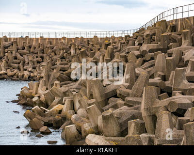 Konkrete dolos Meer Schutzbarriere, Kernkraftwerk Torneß, East Lothian, Schottland, Großbritannien Stockfoto