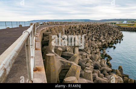 Konkrete dolos Meer Schutzbarriere, Kernkraftwerk Torneß, East Lothian, Schottland, Großbritannien Stockfoto