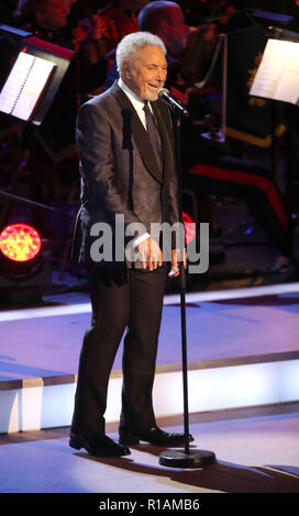 Sir Tom Jones führt während der jährlichen Royal British Legion Festival der Erinnerung in der Royal Albert Hall in London, die feiert und ehrt alle diejenigen, die ihr Leben in Konflikten verloren haben. Stockfoto