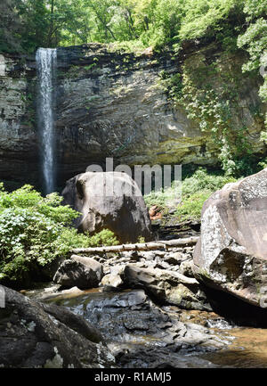 Hemlock Falls ist eine von vielen schönen natürlichen Sehenswürdigkeiten in Cloudland Canyon State Park im Nordosten von Georgia, USA, in der Nähe von Chattanooga. Stockfoto