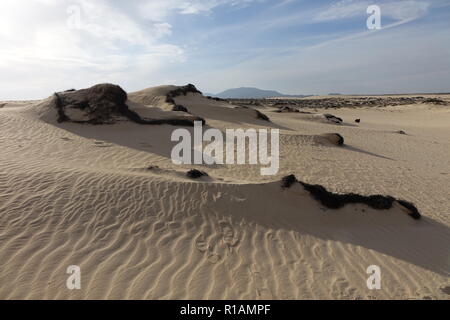 Dramatisch schöne interessante Himmel im Abendlicht über die Dünen im Naturpark von Corralejo, Fuerteventura, Las Palmas, Kanarische Inseln, Spanien. Stockfoto