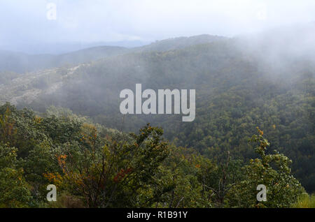 Tejera Negra Buchen- und Eichenwälder in der Sierra de Ayllón, Guadalajara, Spanien Stockfoto