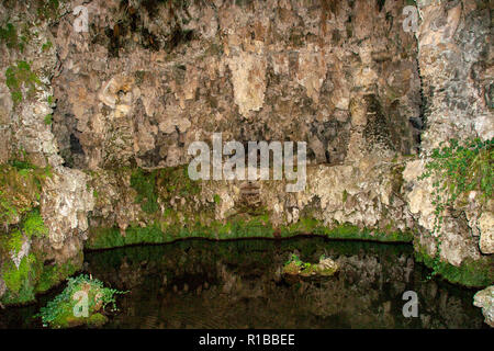 Brunnen die Reproduktion einer natürlichen Grotte im italienischen Garten des rinascimental Palazzo Farnese in Caprarola, Viterbo. Latium, Italien Stockfoto