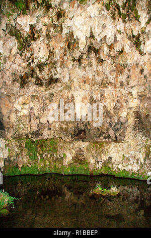 Brunnen die Reproduktion einer natürlichen Grotte im italienischen Garten des rinascimental Palazzo Farnese in Caprarola, Viterbo. Latium, Italien Stockfoto