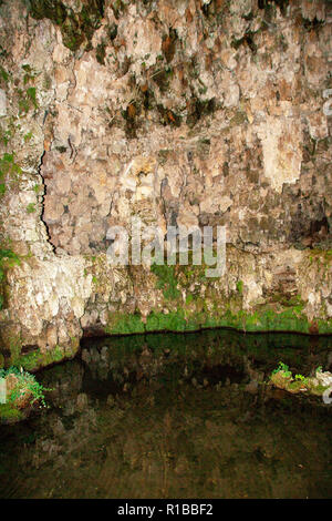 Brunnen die Reproduktion einer natürlichen Grotte im italienischen Garten des rinascimental Palazzo Farnese in Caprarola, Viterbo. Latium, Italien Stockfoto