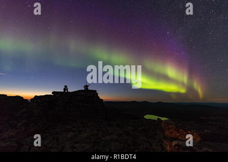 Nordlicht über dem Pyha-Nattanen fiel in Vuotso, Finnland Stockfoto