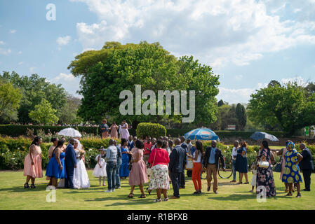 Johannesburg, Südafrika. 10 Nov, 2018. Die Rosengärten in der Johannesburg Botanischer Garten, einen öffentlichen Park, ist ein beliebter Ort für Hochzeiten. Credit: Eva-Lotta Jansson/Alamy leben Nachrichten Stockfoto