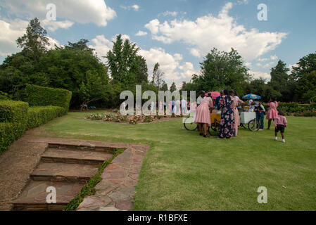 Johannesburg, Südafrika. 10 Nov, 2018. Die Rosengärten in der Johannesburg Botanischer Garten, einen öffentlichen Park, ist ein beliebter Ort für Hochzeiten. Credit: Eva-Lotta Jansson/Alamy leben Nachrichten Stockfoto