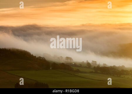 Teesdale, County Durham. Sonntag, den 11. November 2018. UK Wetter. Eine schöne Armistice Day Sonne über den Feldern der Teesdale, Nordost England. Quelle: David Forster/Alamy leben Nachrichten Stockfoto