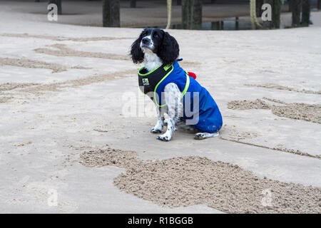 Blackpool, Lancashire, UK. 11 Nov, 2018. Erinnerung Sonntag. Menschen versammeln sich für eine Morgendämmerung Gedenktag zu Ehren der Gefallenen der Weltkriege. Sand Skulpturen werden in den Sand geschnitzt als Schatten der Vergangenheit, daran zu erinnern, daß alle gaben einige & einige Alle gab heute für unsere Freiheiten. Sie sind abgewaschen werden, da die Flut kommt, als die Menge Wellen eine kollektive Auf Wiedersehen. Credit: cernan Elias/Alamy leben Nachrichten Stockfoto