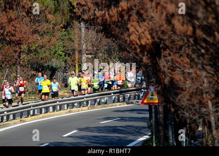 Athen, Griechenland. 11 Nov, 2018. Die Teilnehmer laufen hinter einem verbrannten Fläche von Mati Dorf, wo 99 Menschen bei einem Waldbrand im letzten Sommer gestorben, während der Athen Marathon 2018. (Bild: © aristidis VafeiadakisZUMA Draht) Stockfoto