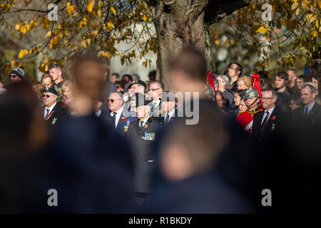 Cardiff, Wales, Großbritannien, 11. November 2018. Eine allgemeine Ansicht der Nationalen Dienst der Erinnerung für Wales am National War Memorial für Wales im Cathays Park, Cardiff. Credit: Mark Hawkins/Alamy leben Nachrichten Stockfoto