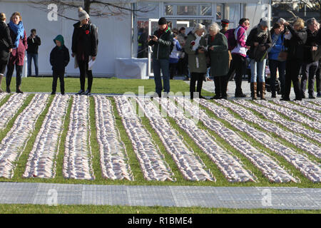 London's Queen Elizabeth Olympic Park, Stratford, London - 11. November 2018: Menschen, die während der Erinnerung Tag der Trauerfeier in Elizabeth Olympic Park, London gesehen um 72,396 ummantelte Zahlen erstellt von artist Rob gehört in Erinnerung an die gefallenen Soldaten des Commonwealth an der Somme, die keine bekannten Grab haben. Die Installation ist von Hand gefertigt - Nähen calico Wanten und über kleine Figuren des Künstlers Rob hört. Quelle: David Mbiyu/Alamy leben Nachrichten Stockfoto