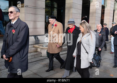 London, Großbritannien, 11. November 2018: lange Warteschlangen von Menschen, die die Teilnahme an der Nationalen Dienst der Erinnerung an das Ehrenmal in London auf das Gedenken Sonntag. Credit: Auf Sicht Fotografische/Alamy leben Nachrichten Stockfoto