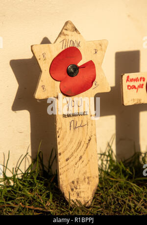 Cardiff, Großbritannien. 11. November 2018. "Danke", Erinnerung Sonntag, Centenary Armistice Day Gedenken an das Schloss von Cardiff, Wales. Kredit Haydn Denman/Alamy leben Nachrichten Stockfoto