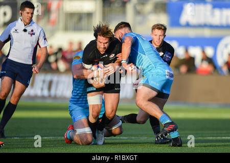 London, Großbritannien. 11. Nov 2018. Marcelo Bosch der Sarazenen ist während der Premiership Rugby Cup Runde 3 Match zwischen Sarazenen und Worcester Warriors bei Allianz Park am Sonntag, den 11. November 2018 in Angriff genommen. LONDON ENGLAND. (Nur redaktionelle Nutzung, eine Lizenz für die gewerbliche Nutzung erforderlich. Keine Verwendung in Wetten, Spiele oder einer einzelnen Verein/Liga/player Publikationen.) Credit: Taka Wu/Alamy leben Nachrichten Stockfoto