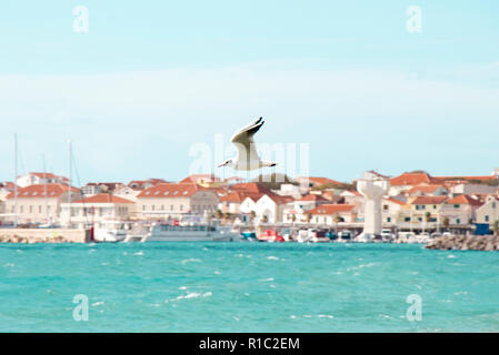 Eine Möwe über das wellige Meer an einem sonnigen Tag in Vodice, Kroatien fliegen Stockfoto