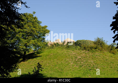 Waytemore Schloss, Bishops Stortford, Hertfordshire. Waytemore Schloss abgerissen, aber die 42 Fuß hohen Damm im Schloss Gärten gesehen werden kann. Stockfoto