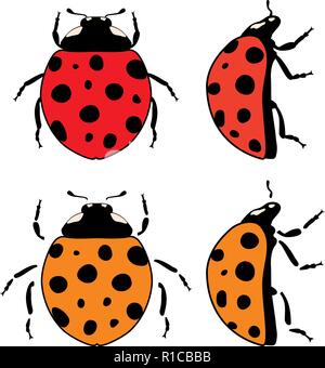 Vektor Marienkäfer flach Symbole auf weißem Hintergrund. Design Elemente der gepunkteten Dame Bugs. rot und orange Marienkäfer Symbole Stock Vektor