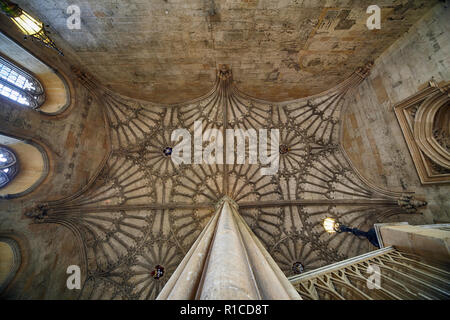 OXFORD, England - 15. MAI 2009: Die aufgelockerte Gewölbe der Decke über der Treppe in Bodley Tower. Christus Kirche. Der Oxford University. England Stockfoto