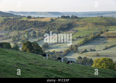 Eine kühle Herbstmorgen in der Taube Tal um Crowdecote, Buxton, England. Eine schöne Gegend des Peak District. Stockfoto