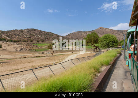 Afrikanische Steppe Bereich der San Diego Zoo Safari Park, Escondido, CA, Vereinigte Staaten von Afrika Straßenbahn mit dem Bus. Stockfoto