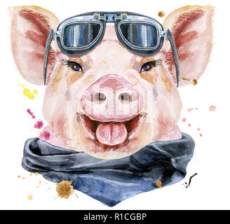 Süße Schweinchen. Schwein für T-shirt Grafiken. Aquarell rosa Schwein mit biker Sonnenbrille Stockfoto