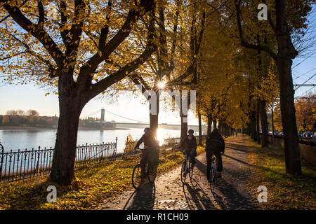 Fahrrad- und Fußgängerweg auf der Straße Oberländer Ufer im Stadtteil Marienburg, im Hintergrund der Rodenkirchener Brücke, Köln, Deutschland. Stockfoto