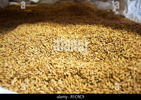 Big Bag von Hafer, Seitenansicht, Makro, Bauernhof Stockfoto