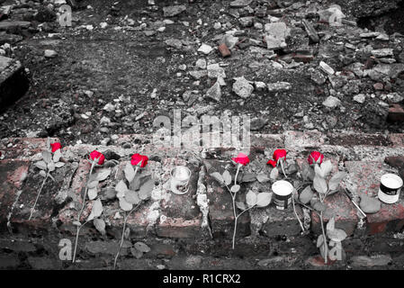 Auschwitz II Birkenau, Nazi Konzentrations- und Vernichtungslager. Rote Rosen neben bleibt der Gaskammer und krematorium Backofen in Auschwitz II Birk Stockfoto