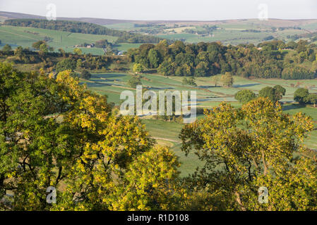 Eine kühle Herbstmorgen in der Taube Tal um Crowdecote, Buxton, England. Eine schöne Gegend des Peak District. Stockfoto