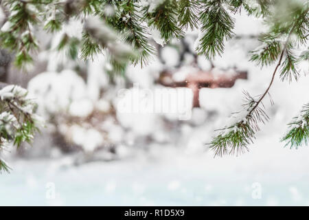 Grüne immergrünen Nadelbäumen tanne Zweigniederlassungen, die in einem verschneiten Park, natürliche Winter Hintergrund Stockfoto