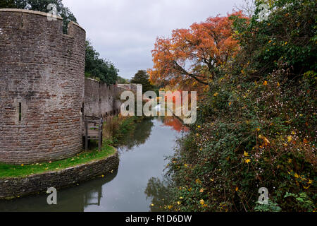 Herbstfarben im November an der Bischofspalast Wassergraben. Wells, Somerset, Großbritannien Stockfoto